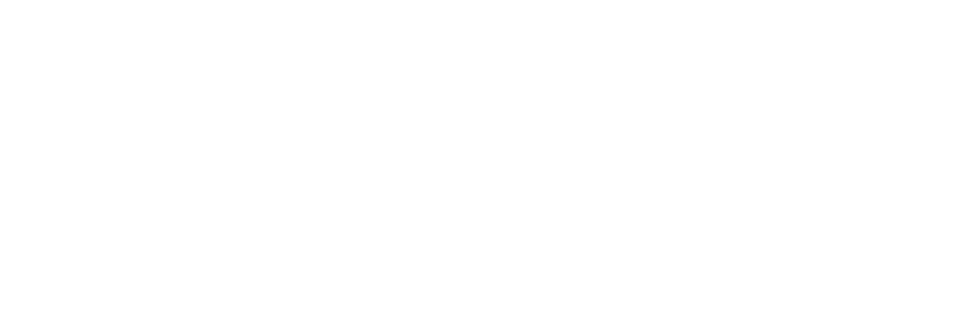 Vítor Zimermann, Advocacia e Consultoria